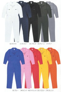 9800 ciM Ka SOWA ƕ Ȃ GJ I[o[I[ yЖhJz S`3L 100