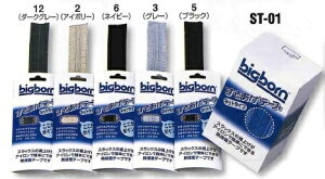 ST-01 H~pXs[_[(e[v) rbO{[iBIGBORNjƕEƒ1.2m×10{