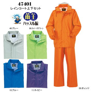CEFA ㉺ 47401 CR[gEpc ㉺Zbg J 䕗 ^ ~J΍ ЊQ ObY N_} J nbX AEghA X|[c ނ ƕ H 傫TCY ƒ PVC