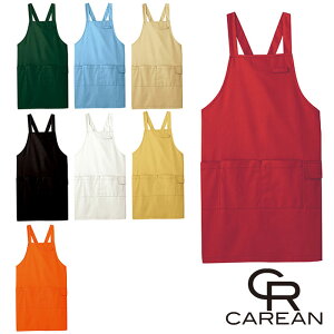 CAE005 Gv CAREANEJ[V[JV}EKARSEE ƕEƒ M`L Đ|GXe65E35