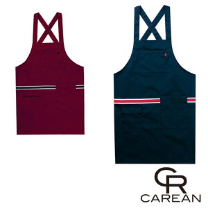 CAE020 Gv CAREANEJ[V[JV}EKARSEE ƕEƒ M`L |GXe65E35