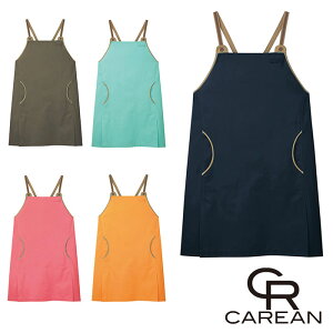 CAE058 Gv CAREANEJ[V[JV}EKARSEE ƕEƒ M`L |GXe65E35