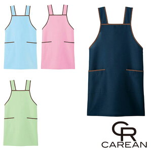 CAE116 Gv CAREANEJ[V[JV}EKARSEE ƕEƒ F |GXe100