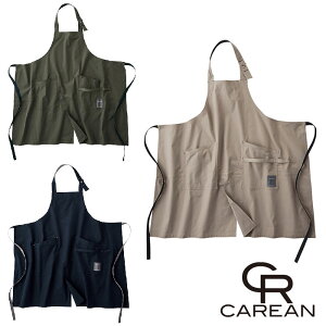 CAE164 Gv CAREANEJ[V[JV}EKARSEE ƕEƒ M`L |GXe100