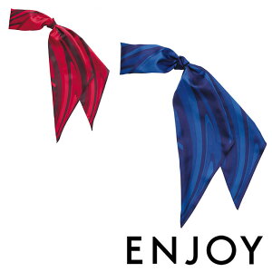 EAZ604 OXJ[t ENJOYEJ[V[JV}EKARSEE E 20×120cm |GXe100