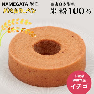 yNAMEGATAĂoEN[wzOet[ ĕ sgp mَq Ăَq Mtg i yY XC[c o 1