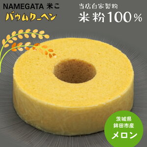 yNAMEGATAĂoEN[wzOet[ ĕ sgp mَq Ăَq Mtg i yY XC[c o 1