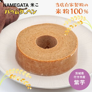 yNAMEGATAoEN[wzOet[ ĕ sgp mَq Ăَq Mtg i yY XC[c o 1