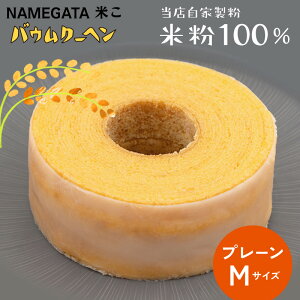 yNAMEGATAĂoEN[wiMTCYjzOet[ ĕ sgp mَq Ăَq Mtg i yY XC[c o 1