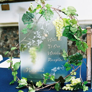 EFJ{[h EFfBO KXy̎h蒅F tXgHōjuC_EFfBO EGJ{[h