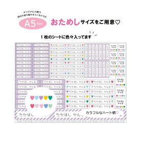 名前シール お名前シール A5サイズ おなまえシール おなまえしーる 防水 漢字 女の子 おしゃれ 防水 かわいい オリジナル 保育園 小学生 入学 入園 卒園 出産祝い カラフルハート 人気 算数セット ボックス ネームシール 大人 シンプル 食洗機 お弁当箱 水筒 文房具 名付け