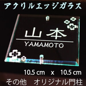 \D ANGbWKX NAȓiȕ\D IׂTCY fUC ˌ  Vlz[ ̑[J[IWi和 SIS 105mm×105mm 10.5cm×10.5cm ̕\D v[g `