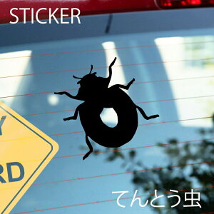 ĂƂJbeBOV[g IׂTCYƃJ[ ό󐫃V[ yDIYIWi|CgɍœKz h ĂƂXebJ[ [[֑]