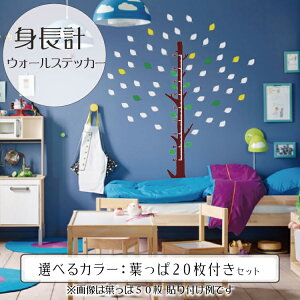 ؂̐gv EH[XebJ[ gv  170cm  ׂ IׂJ[ ǂɓ\gv/]ʃXebJ[/JbeBOXebJ[fJ[/h/ϐ/oYj/j/xr[////