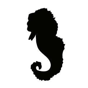 XebJ[ ^cmIgVS Cn  N[/XebJ[/ANv[g/p[e[V//KX///fR/y[֑z