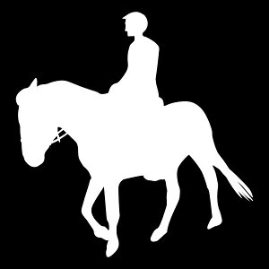 yXebJ[znX^CXebJ[BETCYyJ[10ށznDȐl/IVȃVGbgXebJ[/h/B/V[/XebJ[/ANv[g/p[e[V/