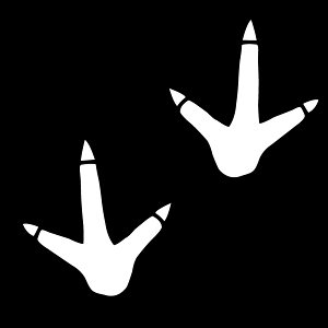 gѓdbEX}zɁI yԂoCNɂIz ~jXebJ[ ̑ՁyJ[10ށzB/LY/LYB/ԃXebJ[/T[tBXebJ[/h/XebJ[T[tB