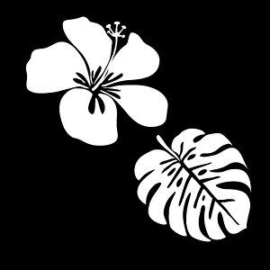 Vvɂ킢yԂoCNAɂsb^IznCA nCrXJX t |CgfJ[XebJ[/B/LY/LYB/킢//JCC/h/