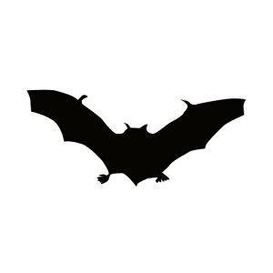 XebJ[ ͂΂RE REA _RE  obg} nEB  N[/XebJ[/ANv[g/p[e[V//KX///fR/n