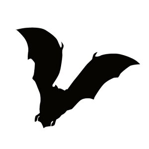 XebJ[ ͂΂RE RED [̂ obg} nEB  N[/XebJ[/ANv[g/p[e[V//KX///fR/XP{