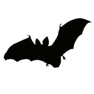 XebJ[ ͂΂REH obh} nEB/XebJ[/ANv[g/p[e[V//KX///fR/XP{[//y[֑z