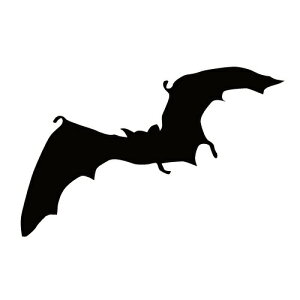 XebJ[ REI ͂΂RE 񂱂 obg} nEB  N[/XebJ[/ANv[g/p[e[V//KX///fR/XP{[/