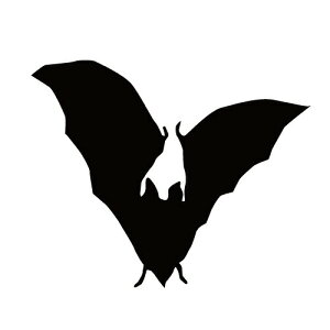 XebJ[ REJ ͂΂RE ЊdRE obg} nEB  N[/XebJ[/ANv[g/p[e[V//KX///fR/XP{