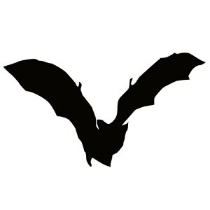 XebJ[ RES ͂΂RE ї obg} nEB  N[/XebJ[/ANv[g/p[e[V//KX///fR/XP{