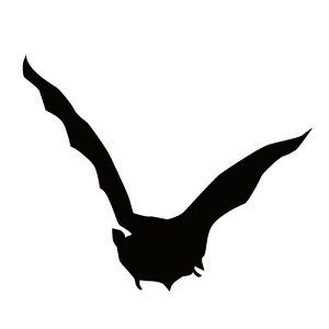 XebJ[ REV ͂΂RE _ obg} nEB  N[/XebJ[/ANv[g/p[e[V//KX///fR/XP{[/