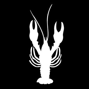 XebJ[ ɐA /UKj/C̐/XebJ[/ANv[g/p[e[V//KX///fR/X/y[֑z