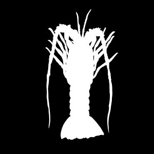 XebJ[ ɐB C̐/XebJ[/ANv[g/p[e[V//KX///fR/X/y[֑z