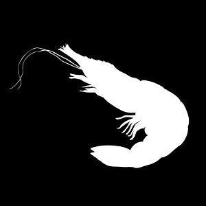 XebJ[ A CṼXebJ[/Gr/C̐/XebJ[/ANv[g/p[e[V//KX///fR/X/y[֑z