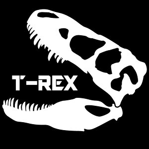 VGbgXebJ[ IVɎԂ̋ȂǁyVGbgXebJ[zeBmTEXi/eBmTEX̓W yJ[10ށz]ʃXebJ[/JbeBOX