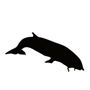 XebJ[ NW o[NW ߌ~ ېHs  N[/XebJ[/ANv[g/p[e[V//KX///fR/y[֑z