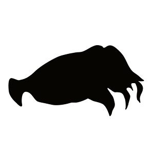 XebJ[  RECJ  N[/XebJ[/ANv[g/p[e[V//KX///fR/y[֑z