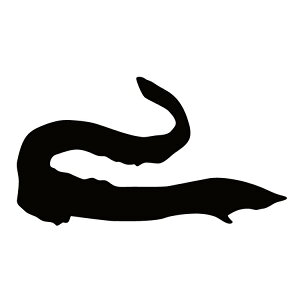 XebJ[ EiM V  N[/XebJ[/ANv[g/p[e[V//KX///fR/y[֑z