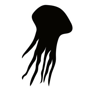 XebJ[ NQ  N[/XebJ[/ANv[g/p[e[V//KX///fR/y[֑z