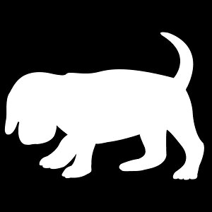 IVȃVGbgXebJ[y킢VGbgXebJ[zۃr[OyJ[10ށz]ʃXebJ[/JbeBOXebJ[fJ[/킢/JCC//]ʃX