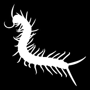 IVȃVGbgXebJ[yVGbgXebJ[zJfVGbg fJ[XebJ[yJ[10ށzXm[{[hXebJ[/LY/T[tB/h [[֑