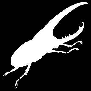 VGbgXebJ[ŃIVɁyVGbgXebJ[IzXebJ[FwNXIIJugyJ[10ށzB/XebJ[T[t{[h/O/h/V[ [