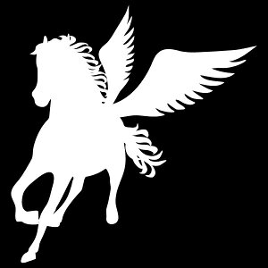 IVȃVGbgXebJ[yVGbgXebJ[zyKTX/VnyJ[10ށz]ʃXebJ[LY/oCN/wbg/LYB/T[tB/Xm[{[h/h/V[ [