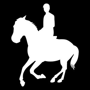 VGbgXebJ[ŃIVɁIyIVȃVGbgXebJ[znX^CXebJ[AyJ[10ށzXebJ[/h/B/V[ [[֑]