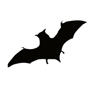 XebJ[ ͂΂RE REB 󕑂RE obg} nEB JbRCC N[/XebJ[/ANv[g/p[e[V//KX///fR/XP{[/