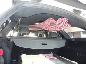 NAMINORIKOZOU ZfXxc ENX Xe[VSp ԓLA 2{Zbg Xe[Epbht Xm[{[h T[t{[h XL[ r bhz_[ Lv x[X L