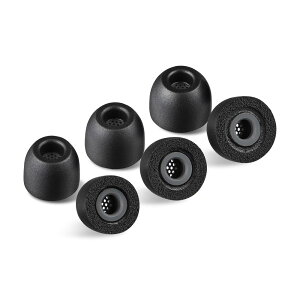 AZLA SednaEarfit Foamax Standard �C���[�s�[�X �t�H�[���^�C�v ���Չ��� �ᔽ���E���^�� �v���~�A���C���[�`�b�v �S6�T�C�Y�W�J �C���z�������p�A�N�Z�T���[