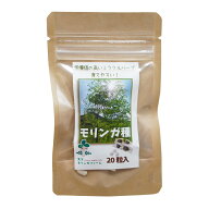 モリンガの種 家庭菜園用 種子 モリンガオレイフェラ ワサビノキ
