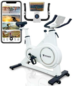 STEADY �X�s���o�C�N Plus�yZwift/�A�v���A��/�É�/�g���ȒP�z �G�A���o�C�N �t�B�b�g�l�X�o�C�N �ƒ�p ST145