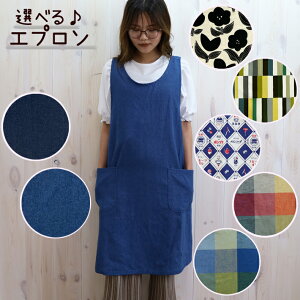 Gv Gv fj XgCv `FbN ԕ obNNX Ԃ邾 EJ^ t[TCY { Vv |Pbgt JtFGv Ǝ  fB[X 