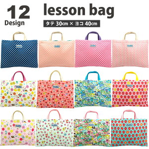 bXobO 30cm×40cm LeBO Lg { wZ ct ۈ牀  w  ̎q j̎q 񂰑 񂰂΂ 肳obO LbY 킢  mÃobO g