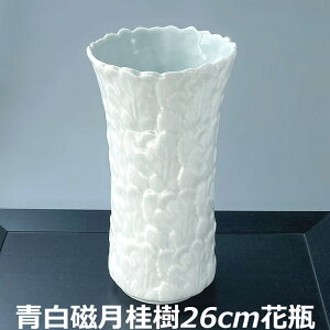  j ԕr  26cm Z {  a ԓ ԍ Y   Vv